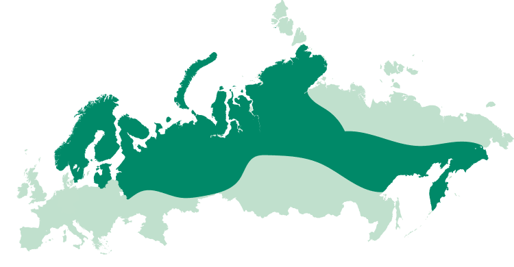 Karta &ouml;ver var i v&auml;rlden &auml;lgen finns.