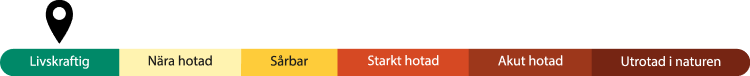 Hotskala fr&aring;n Livskraftig till Utrotad i naturen, som visar att &auml;lgen &auml;r Livskraftig.