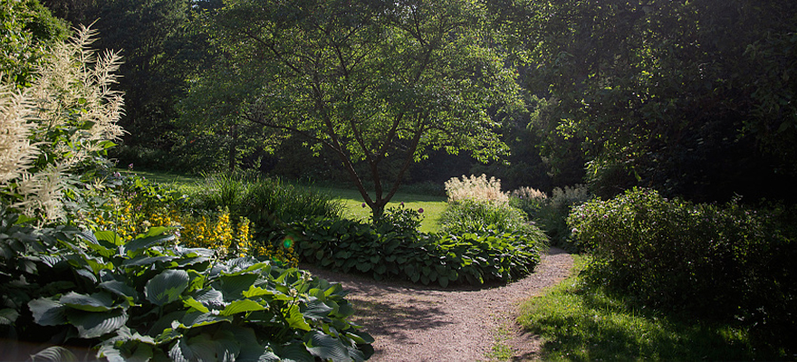 Grönskande trädgård med gångar i Lilla änggården