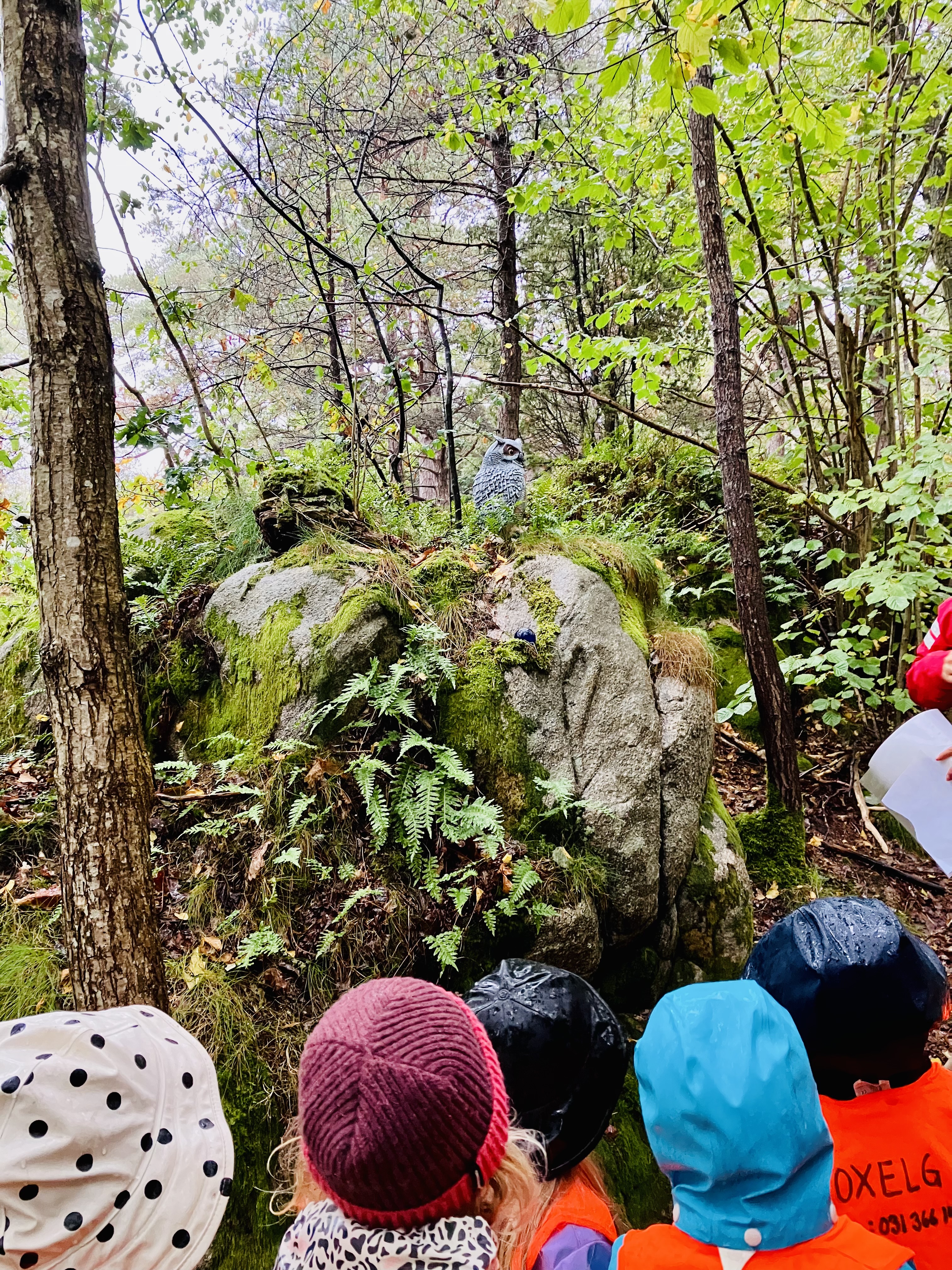 Barn i skog tittar på en konstgjord uggla.