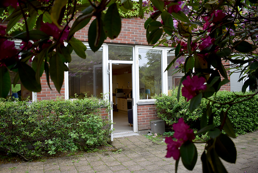 Utgången från  sällskapsrummet sett utifrån där Rododendron blommar.