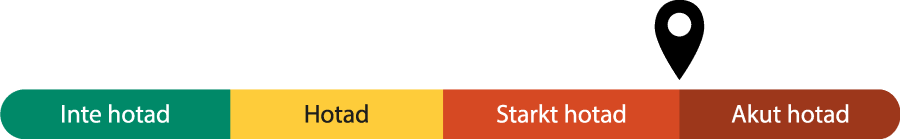 Skala med fyra hotniv&aring;er - Inte hotad, Hotad, Starkt Hotad och Akut hotad. &Ouml;landsg&aring;s ligger mellan Starkt och Akut hotad.